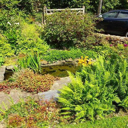Tabor House B&B Fishguard Exterior photo